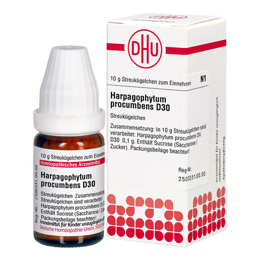 HARPAGOPHYTUM PROCUMBENS D 30 Globuli