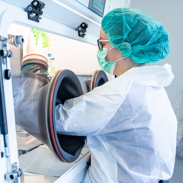 wir leben - Karriere